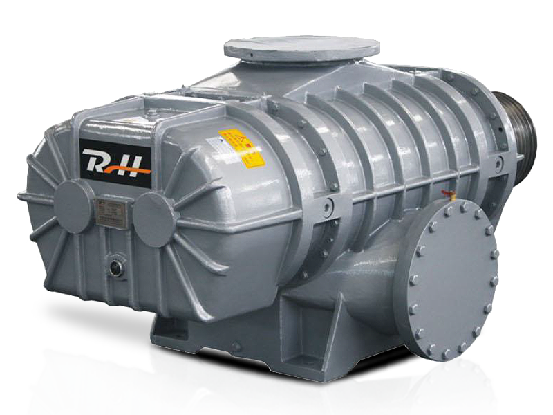 Roots Vacuum Pump